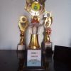 Muhammad Lutfi