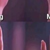 XingXing43