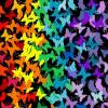 Rainbow Time🌈