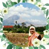 jeVIP