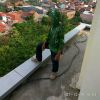 Bolang Alas