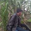 Leonardo Sinaga