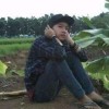 wardi