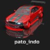 Pato.indo