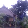 Wiwin Wiwit Adjja