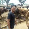 Pampi Haryono