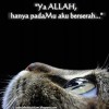 😎mujib☺