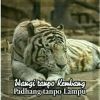 Muhammad Nurcaid