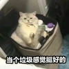 CrazyChen