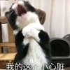体制内的叛逆少女