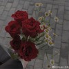 忘记了你的名字