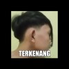 slebew