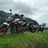 Synovriyster Extorc Padank