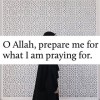 زينيه
