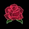 rosè