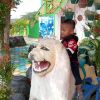 Dedi Bray