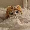 Hana
