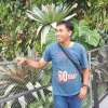 arditya