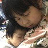 小肥雞