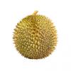 Durian Lau