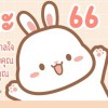 🐰 rabbit 