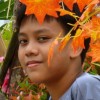 guitarwaris