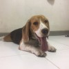 กีรติ ออโต้