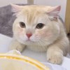 🐱𝑃𝑟𝑎𝑒𝑤♡🛋