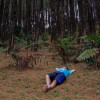 Arifin_12