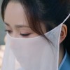 凤凰

