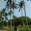 Chalvin