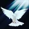 al faqir