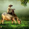 Thop Khun Ba