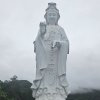 否极泰来