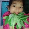 Leli Ermalia Tarigan