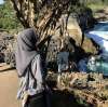 Dwi Hayu