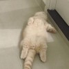 เภง