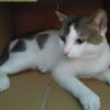 Adly Farhan Fairuz Mampa