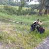 Alep Alep