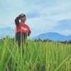 putra dwi