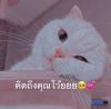 ข้าว ฟ่าง