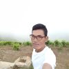 Harry Saputra