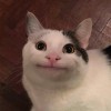 Ree