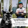 เชด้า