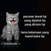 Gustu Bali