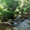 Arnando Tambunan