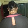 Ujang Lan