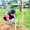 Phak_PP