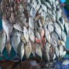 Oriflakes Batam