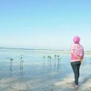 miss widy